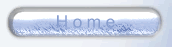 Home Button